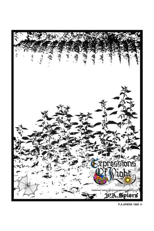 ExpoLight-Graphic-Arts-Nettles-1985-0001 (Pen-&-Ink-Photo-Mono-SP)