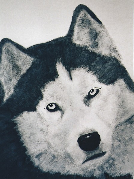 Husky