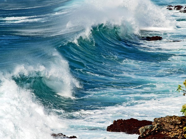 Ocean Majesty- Kauai, Hawaii