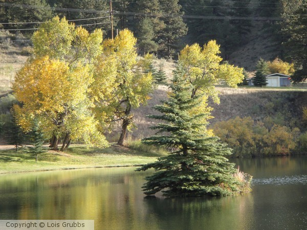 2011 Fall Scenery
