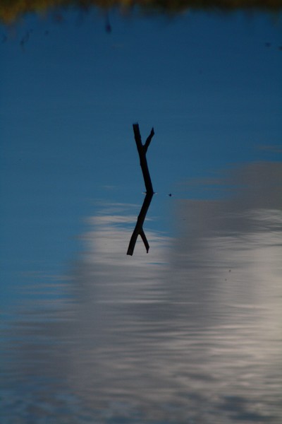 mirror