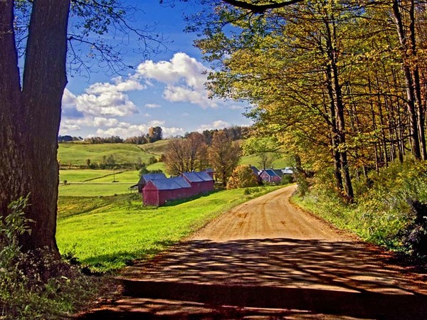 Jennie Farm