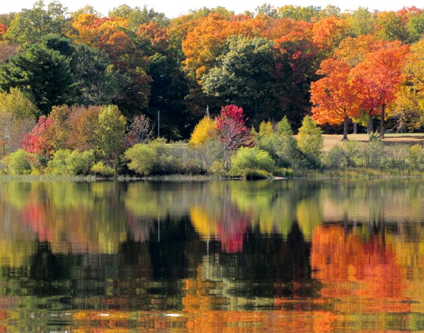 Northern Lake Color!