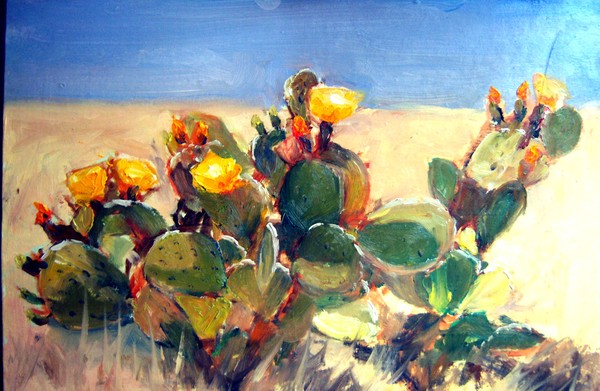 Cactus Flowers#1