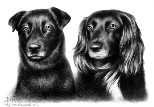 Nora & Merlin