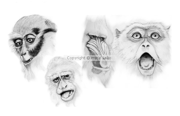 Monkey studies