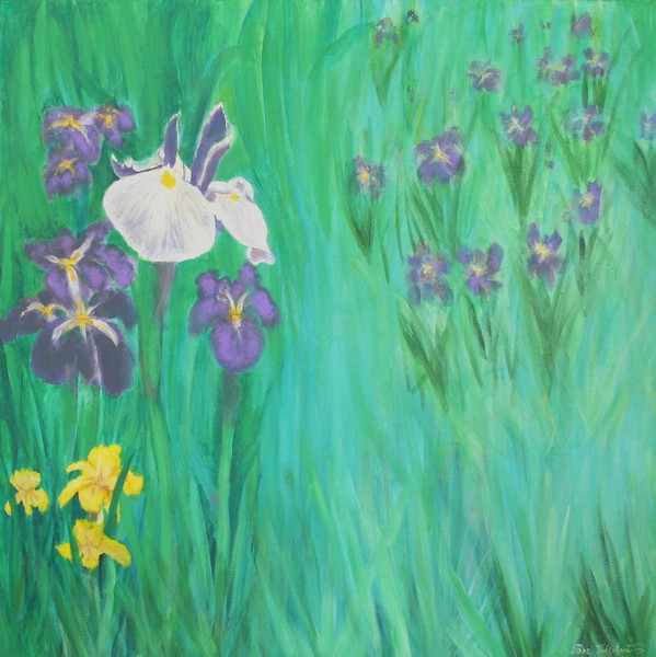 Blue Iris
