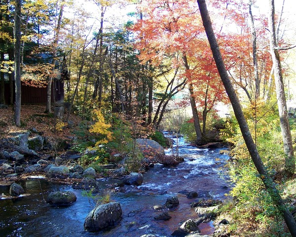 Cabin in the Woods