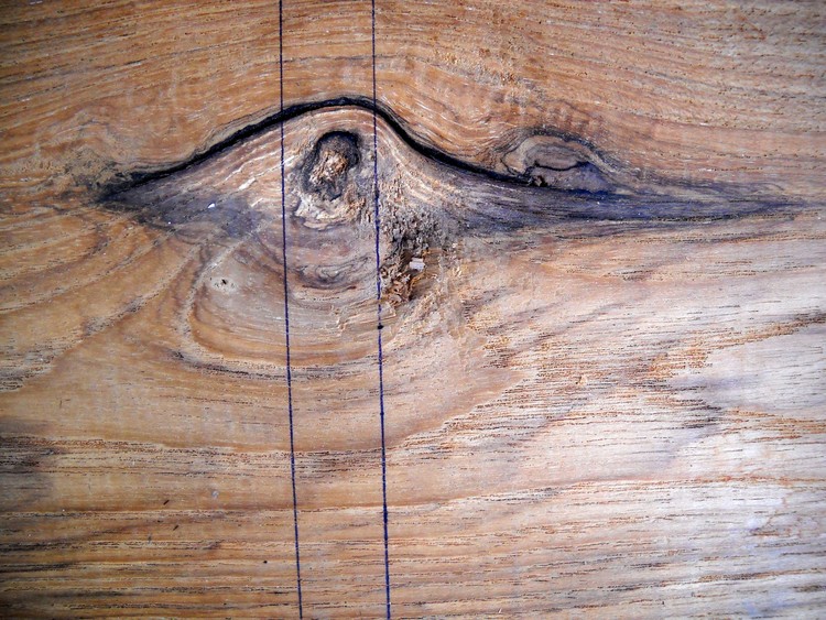 Natural Abstract