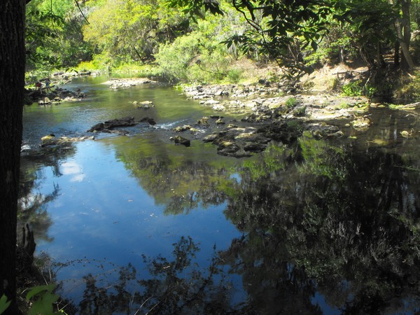 Hillborough River