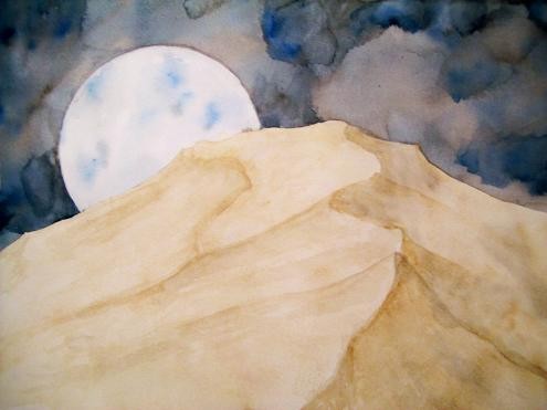 wild desert night