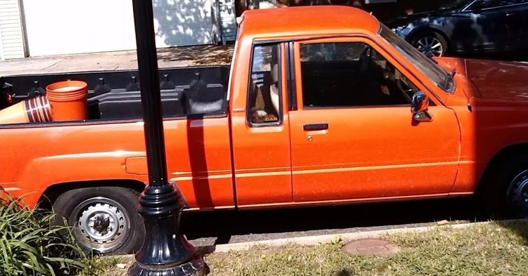 The Color Orange