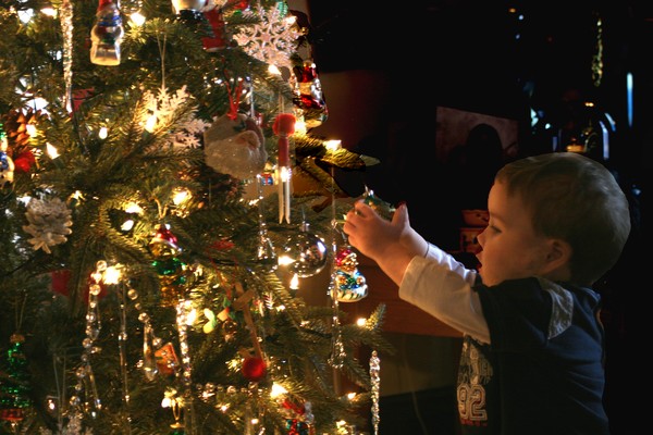 The Wonders Of Christmas