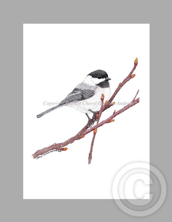 Black Capped Chickadee Pen and Ink Pointillism 