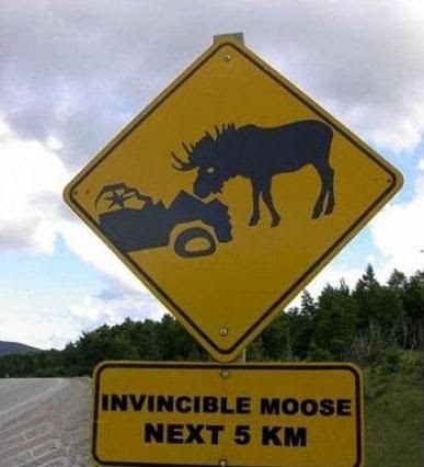 Vinny The Moose