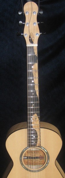 Weird guitar