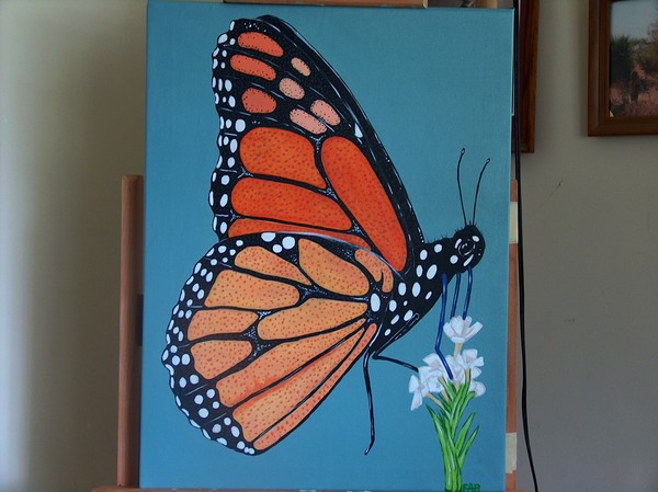 monarch with white flower