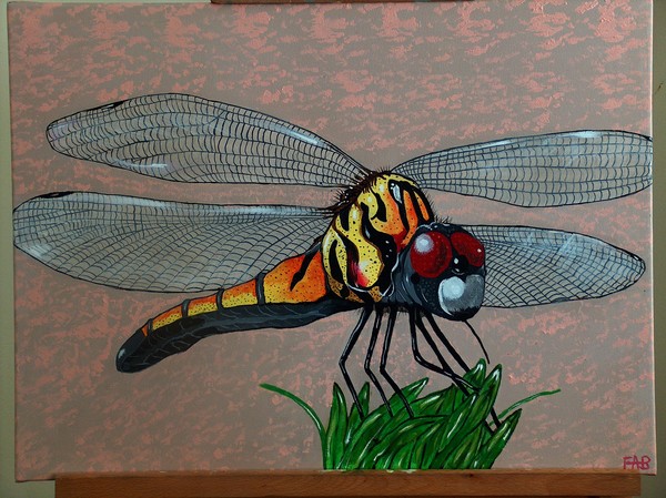 pinksky dragonfly