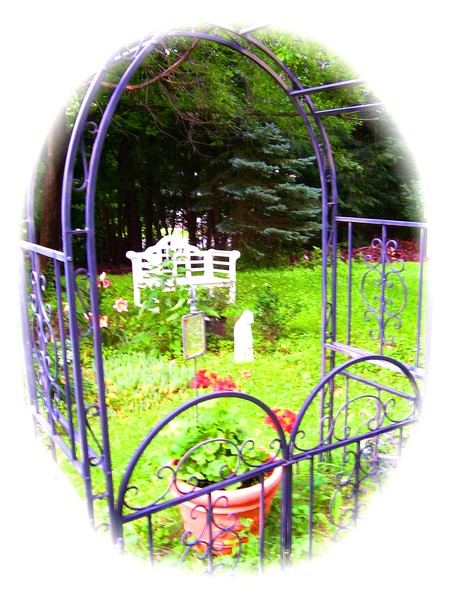 garden images 2013