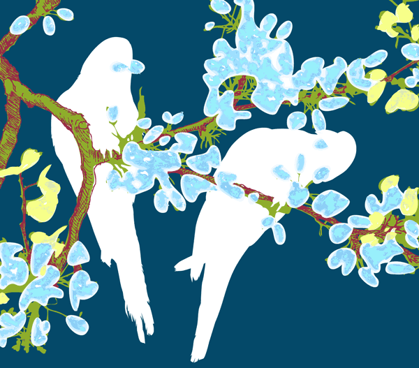 Birds on a branch