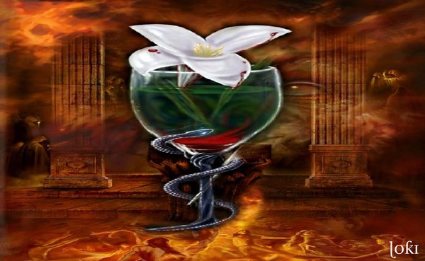 fire lily