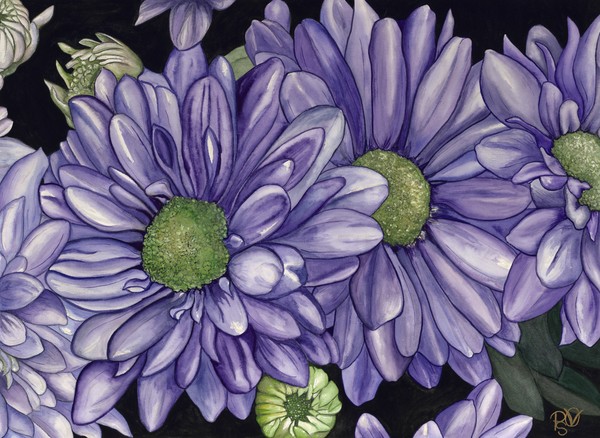 Purple Flowers