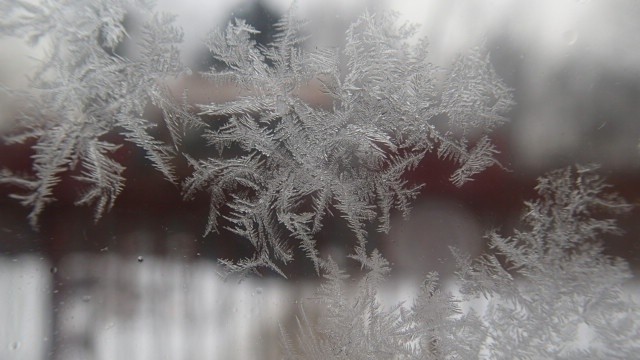 P2070014