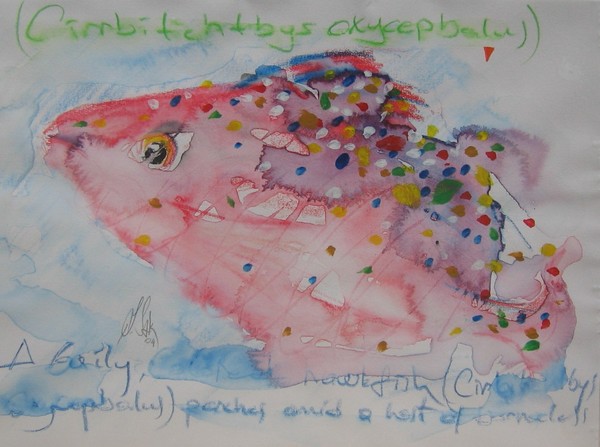 fish-WATERCOLORS,17