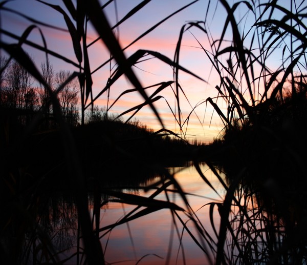November Sunset 2