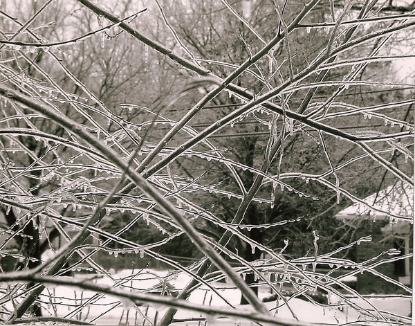 Encased in Ice