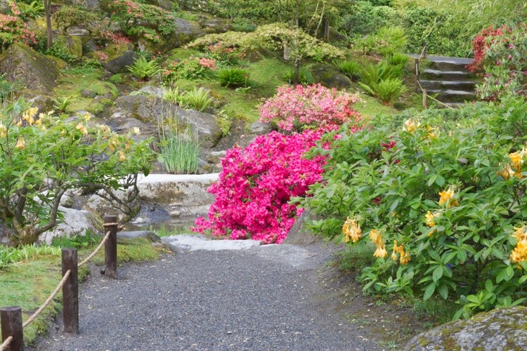 pathway to the garden