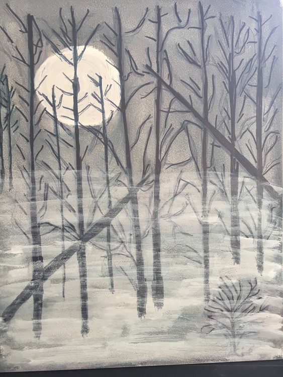 Dark, Dark Woods
