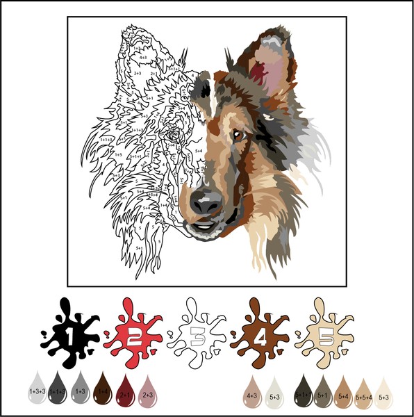 Color by Numbers (Woof)