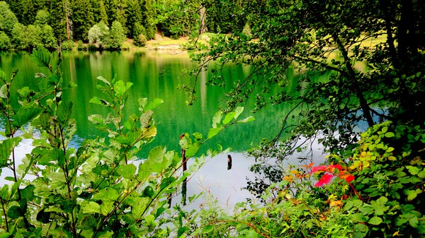 Karagöl (Blacklake)-Artvin-Turkey