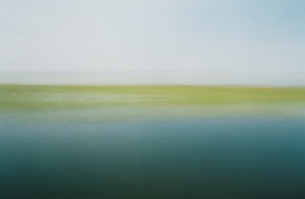 Marshscape
