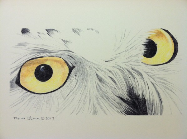 Snowy Owl (Original Artwork Sold)