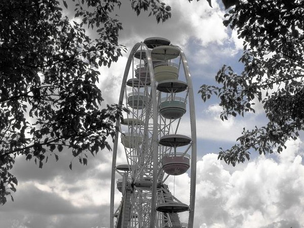 Ferris Wheel thru trees 