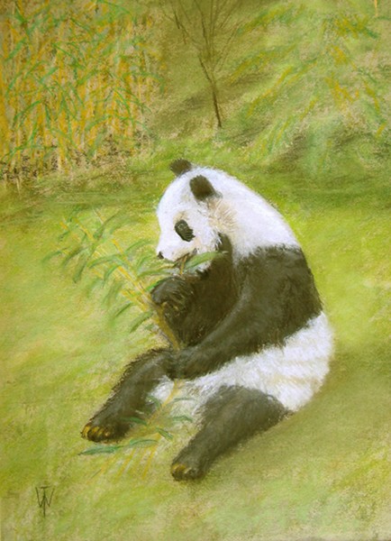A Panda has Lunch