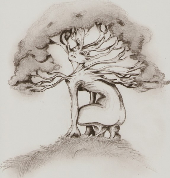 trillea