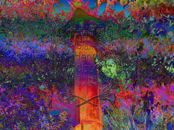 Single Corinthian Column in the Wilderness