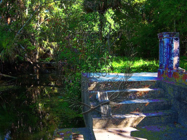 Tropical Stream Steps Ruins Holly Hill Fl.