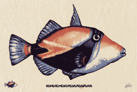 Humuhumunukunukuapua'a