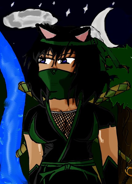 Ninja Girl
