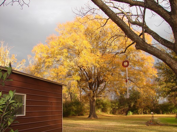 Fall Beauty