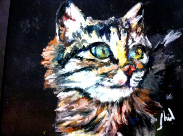 Cat Eyes