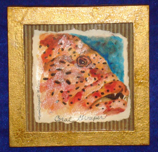 Coral Grouper