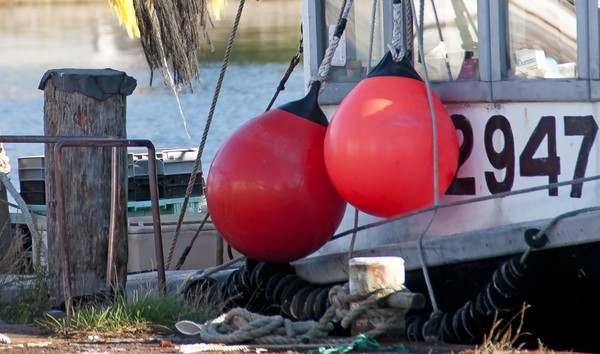 Two Orange Ball