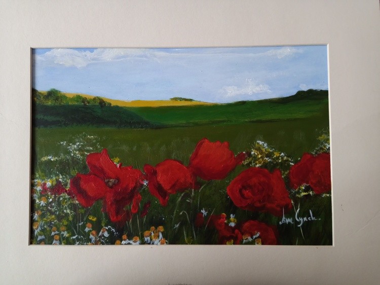 Field of Poppies.
