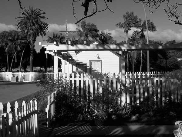 Untitled 37