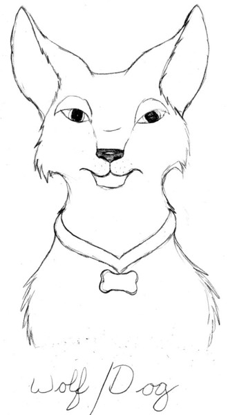 Wolf or Dog?